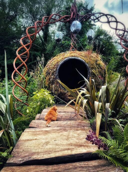 Truck & Pod Creative Nature Retreat. Bantry Luaran gambar